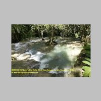 38593 13 033 Dunn´s River Falls, Ocho Rios Jamaica, Karibik-Kreuzfahrt 2020.JPG